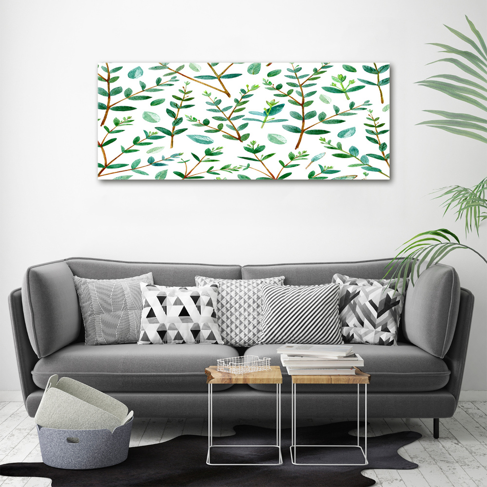 Foto obraz canvas Eukaliptus