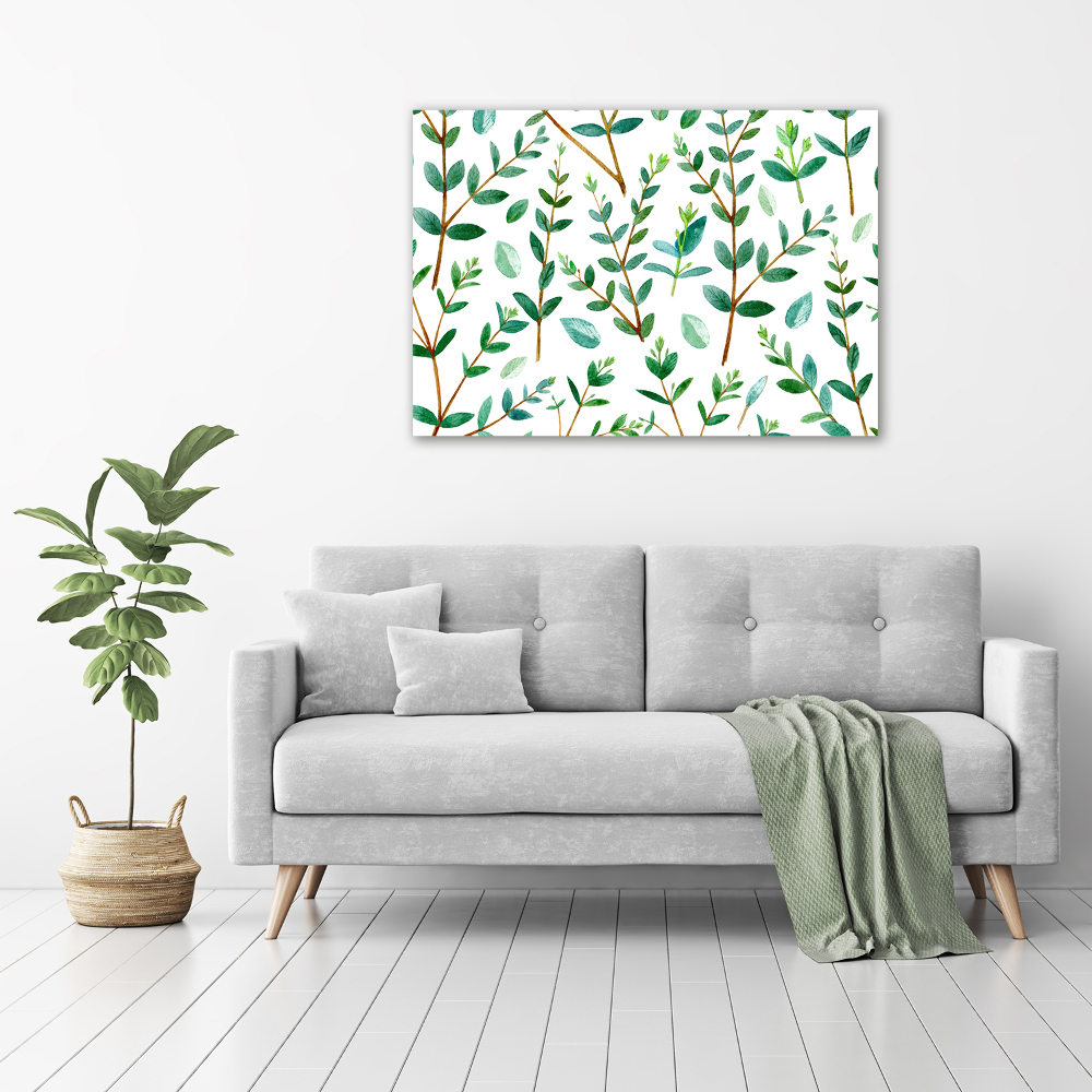 Foto obraz canvas Eukaliptus
