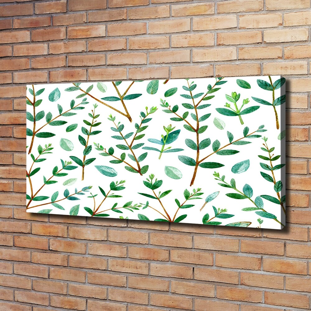 Foto obraz canvas Eukaliptus