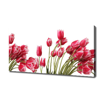 Foto obraz na płótnie Czerwone tulipany