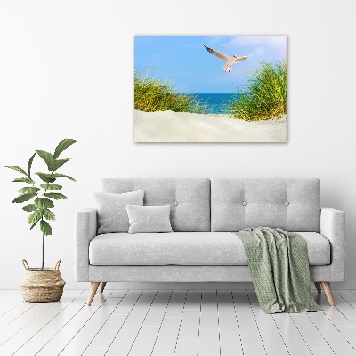 Foto obraz na płótnie Mewa na plaży