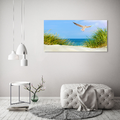 Foto obraz na płótnie Mewa na plaży
