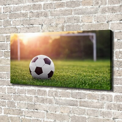 Foto obraz canvas Piłka nożna