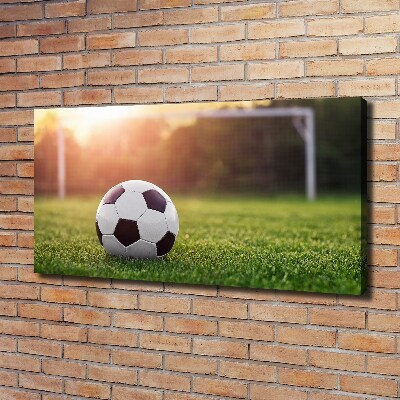 Foto obraz canvas Piłka nożna