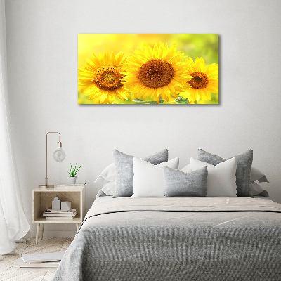 Foto obraz canvas Słoneczniki