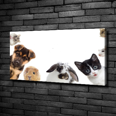 Obraz canvas do salonu Zwierzęta domowe