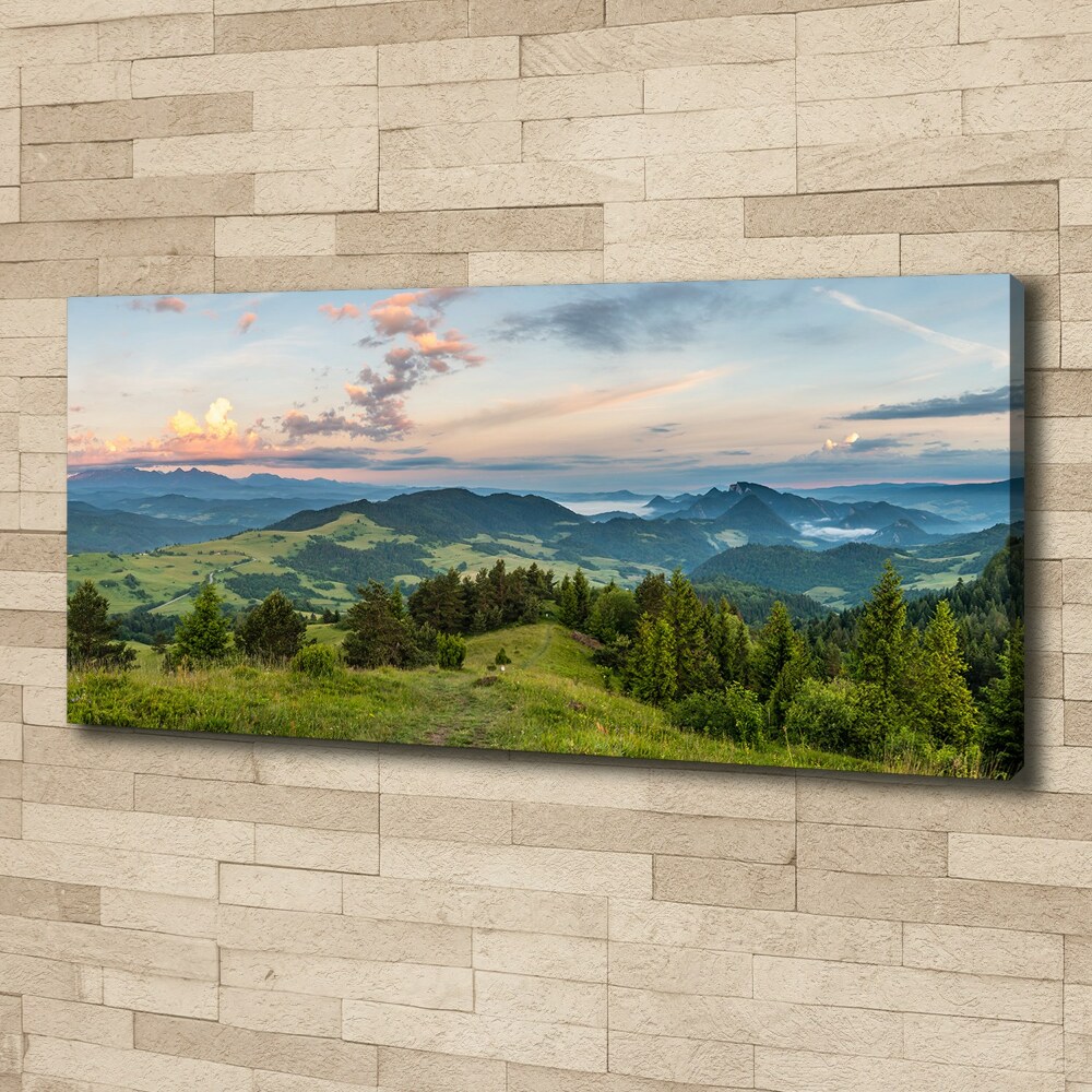 Foto obraz na płótnie Panorama Pieniny