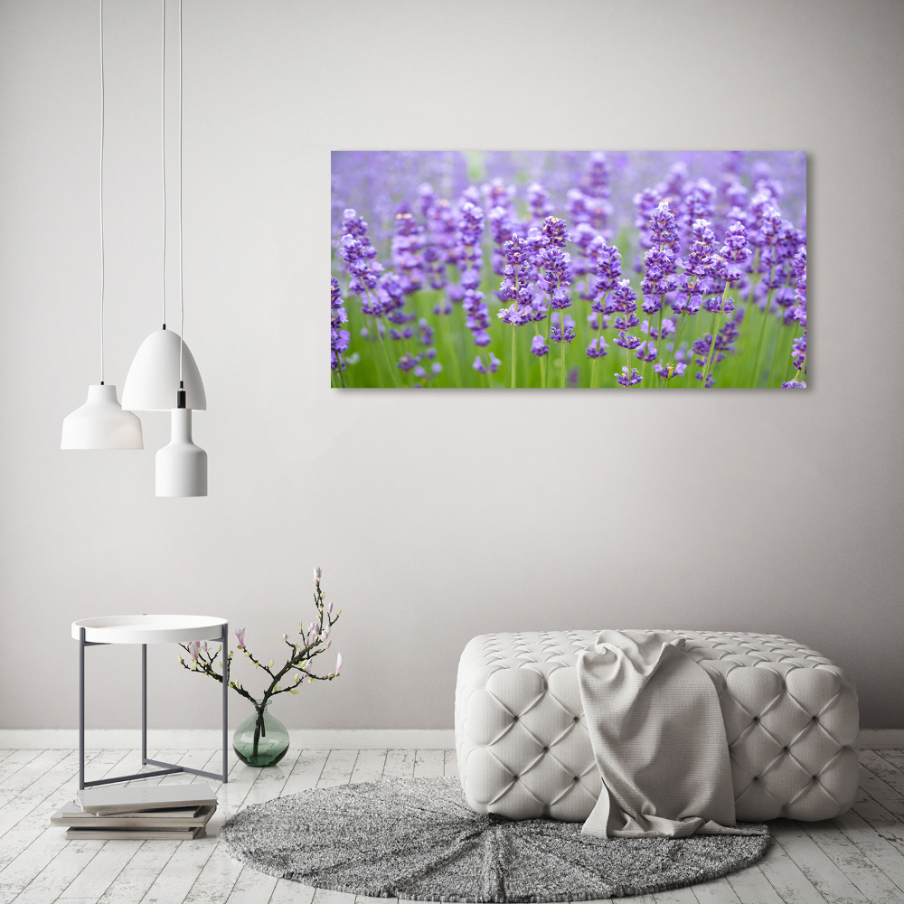 Foto obraz canvas Lawenda