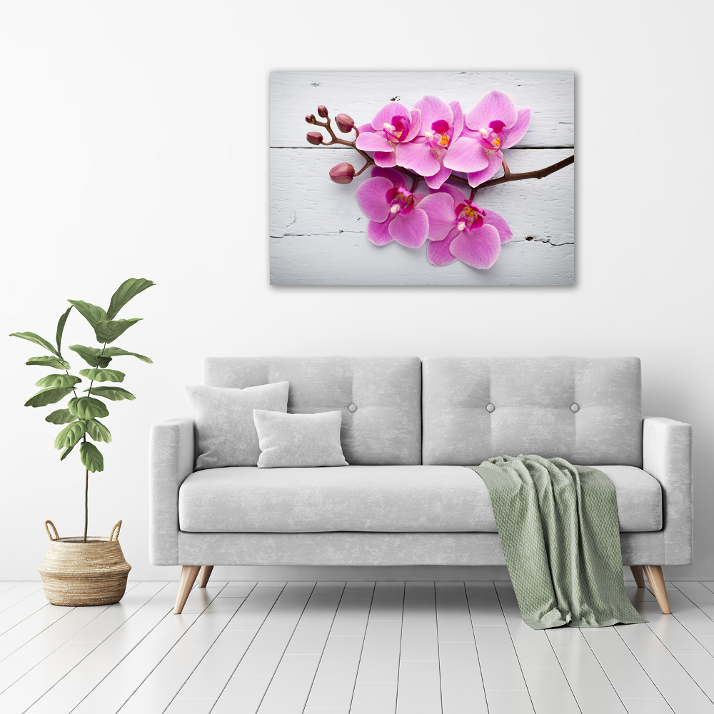 Foto obraz na płótnie Orchidea na drewnie