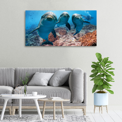 Foto obraz canvas Delfiny