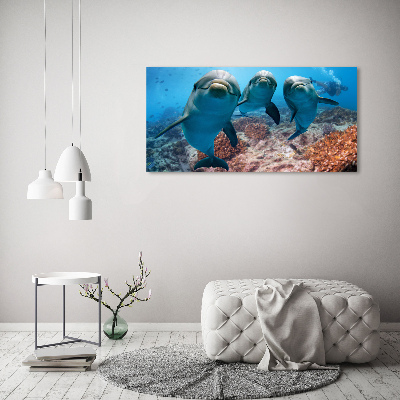 Foto obraz canvas Delfiny