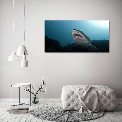 Foto obraz canvas Duży rekin
