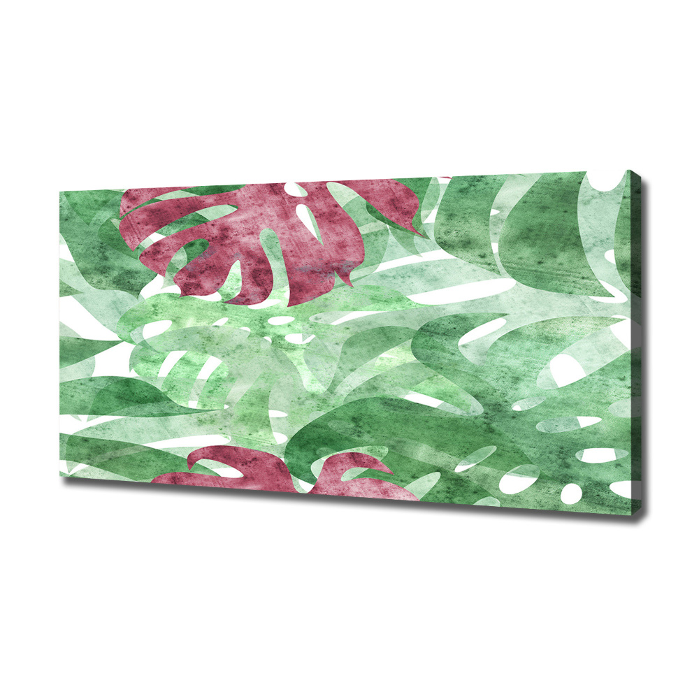 Foto obraz canvas Monstera