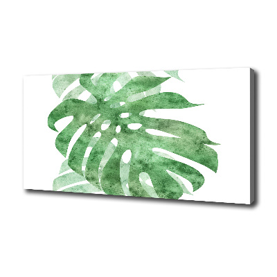 Foto obraz canvas Monstera