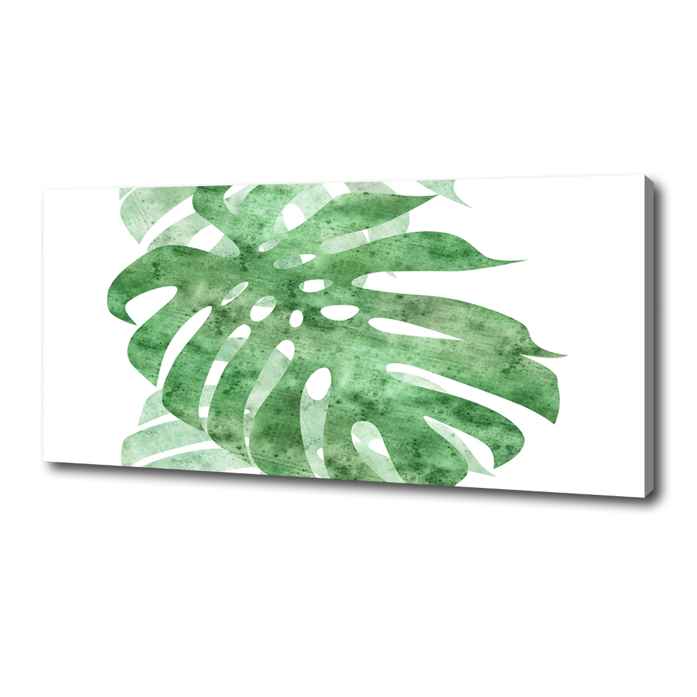 Foto obraz canvas Monstera