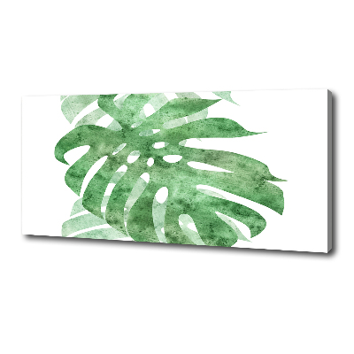 Foto obraz canvas Monstera