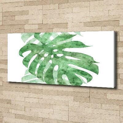 Foto obraz canvas Monstera