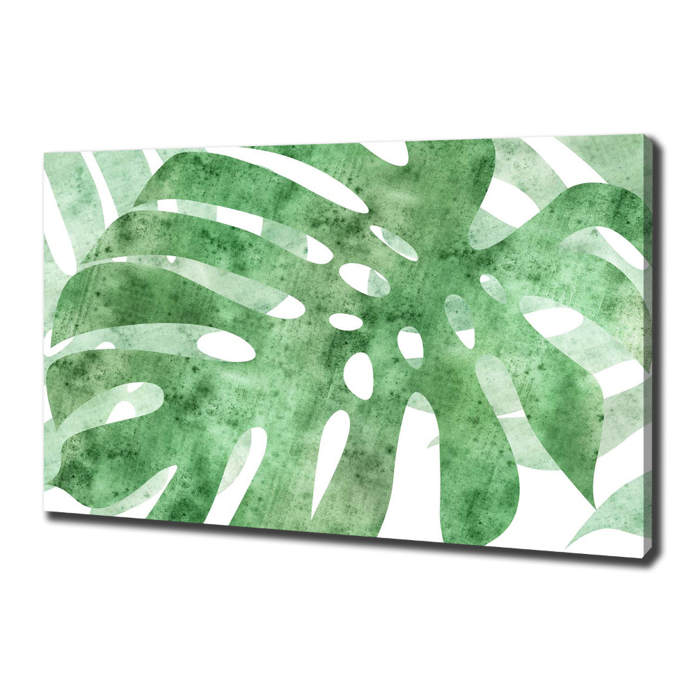 Foto obraz canvas Monstera