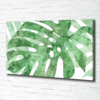 Foto obraz canvas Monstera