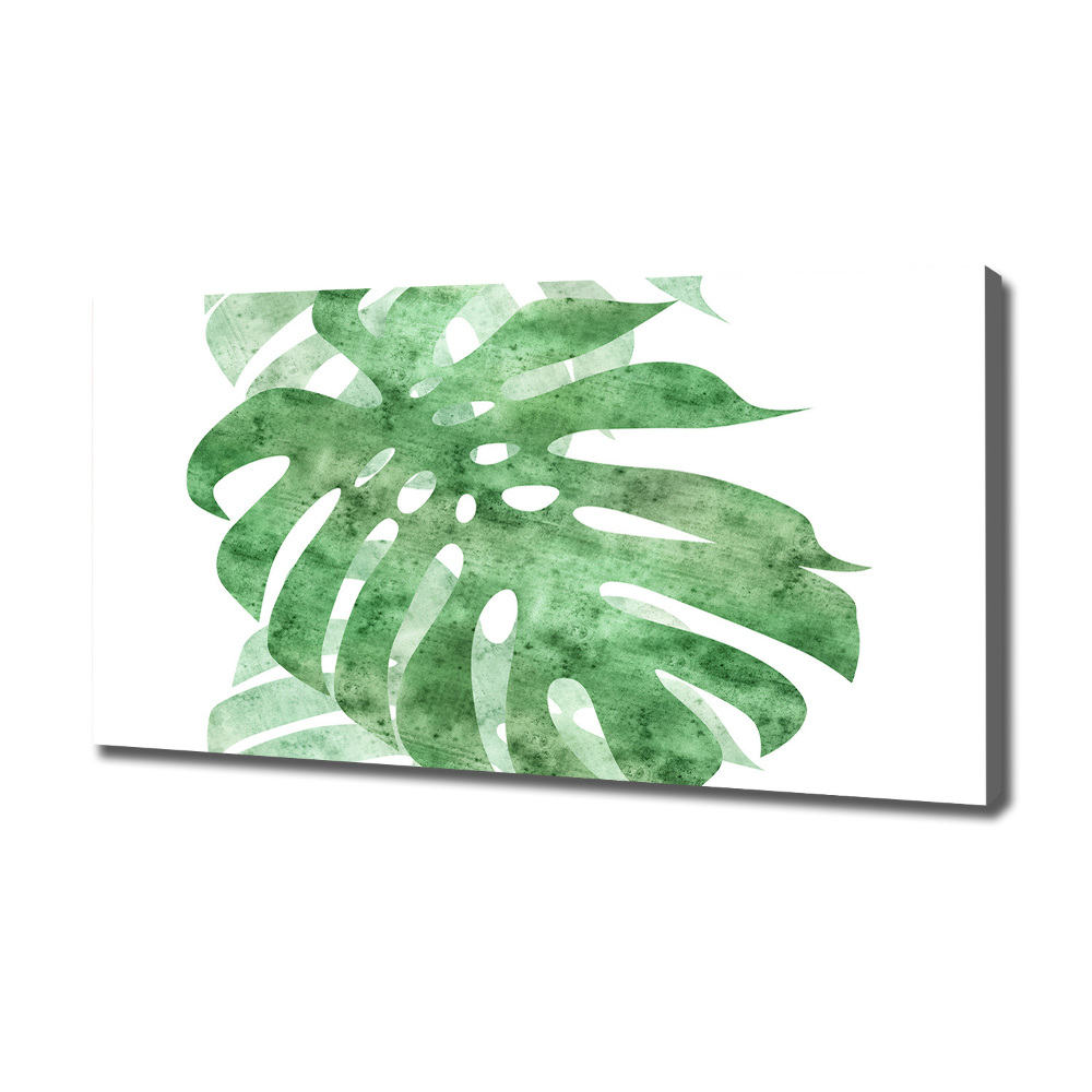 Foto obraz canvas Monstera