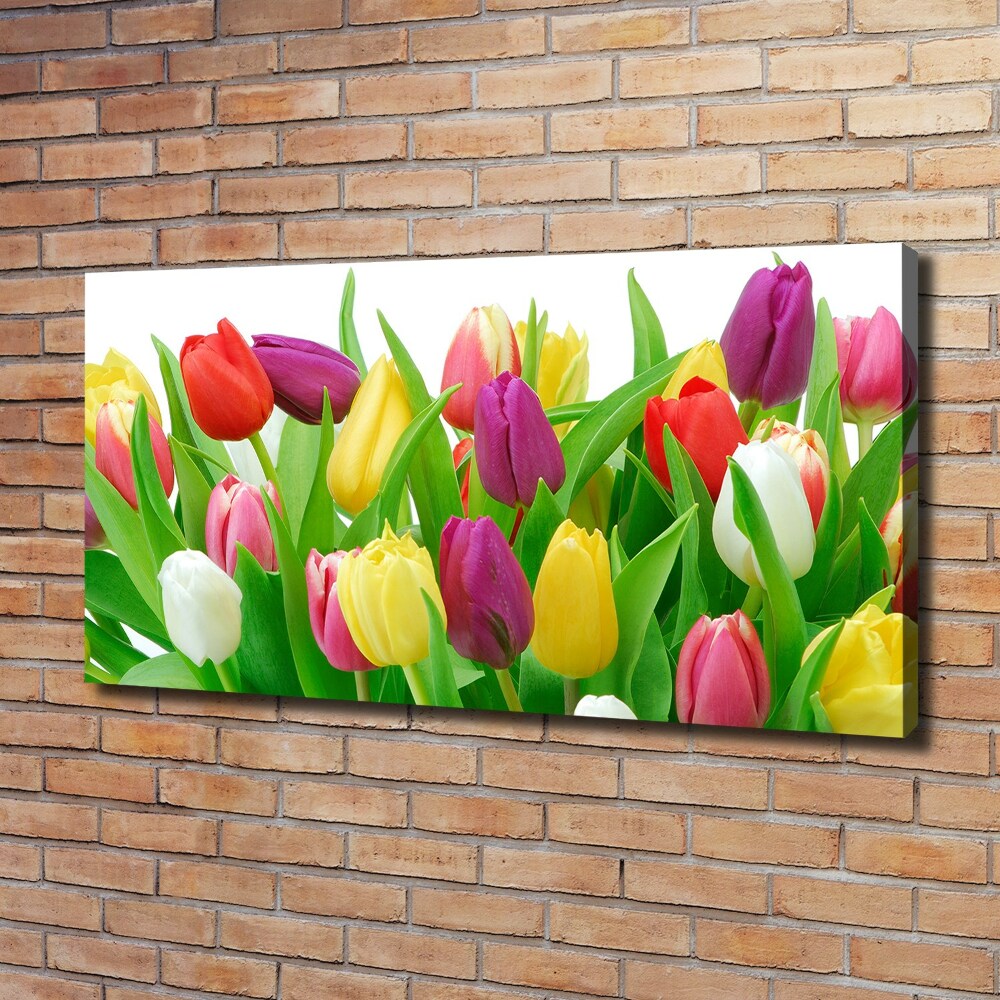 Foto obraz na płótnie Kolorowe tulipany