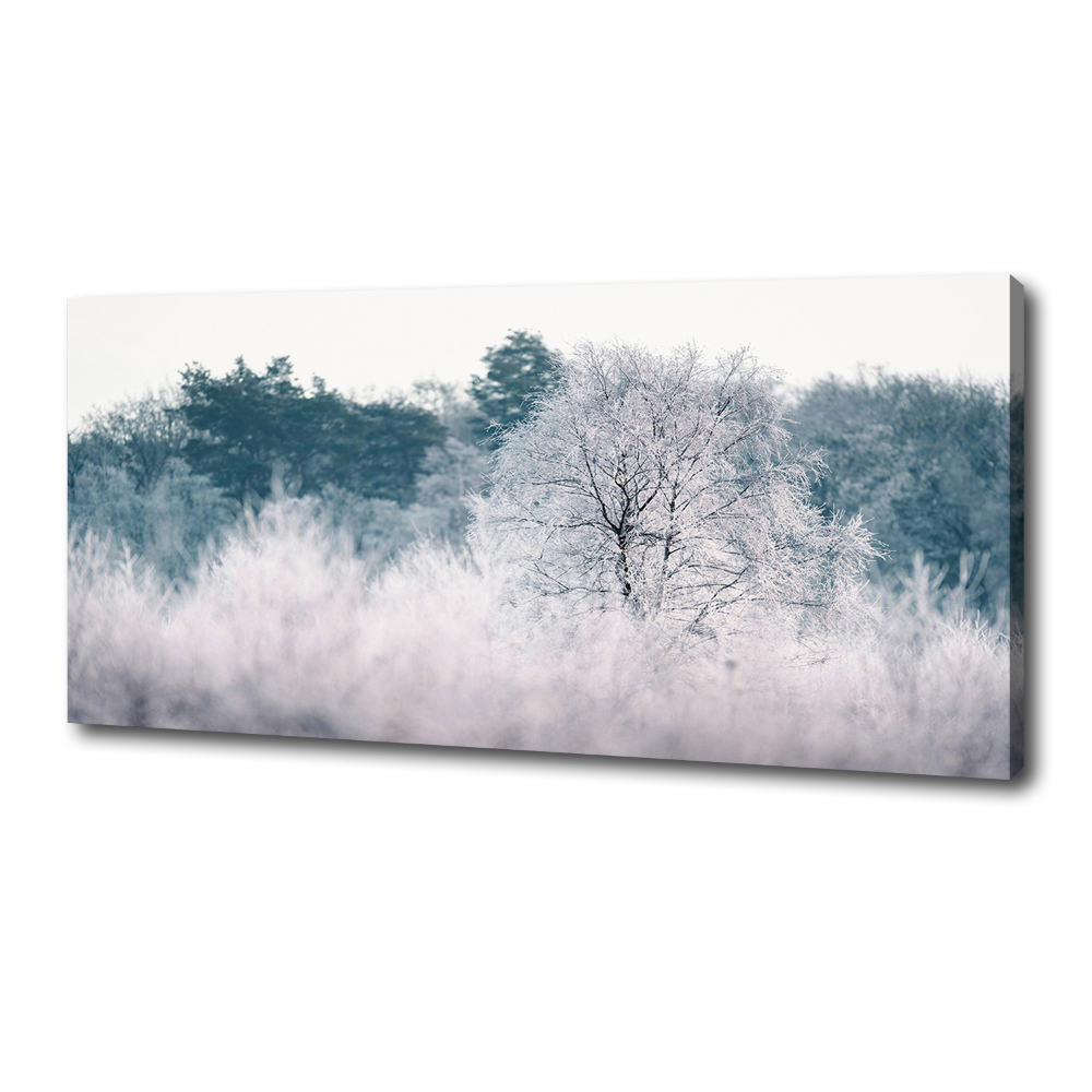 Foto obraz canvas Drzewa zimą