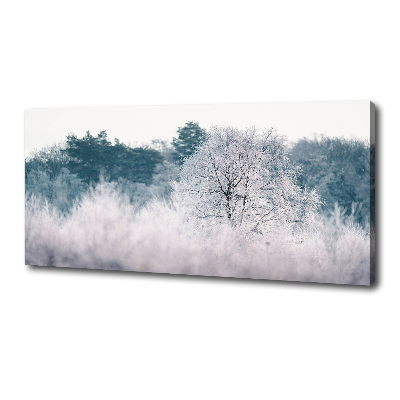 Foto obraz canvas Drzewa zimą