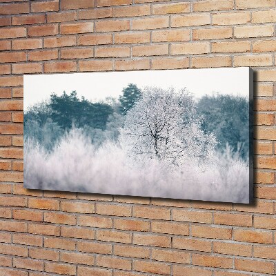 Foto obraz canvas Drzewa zimą