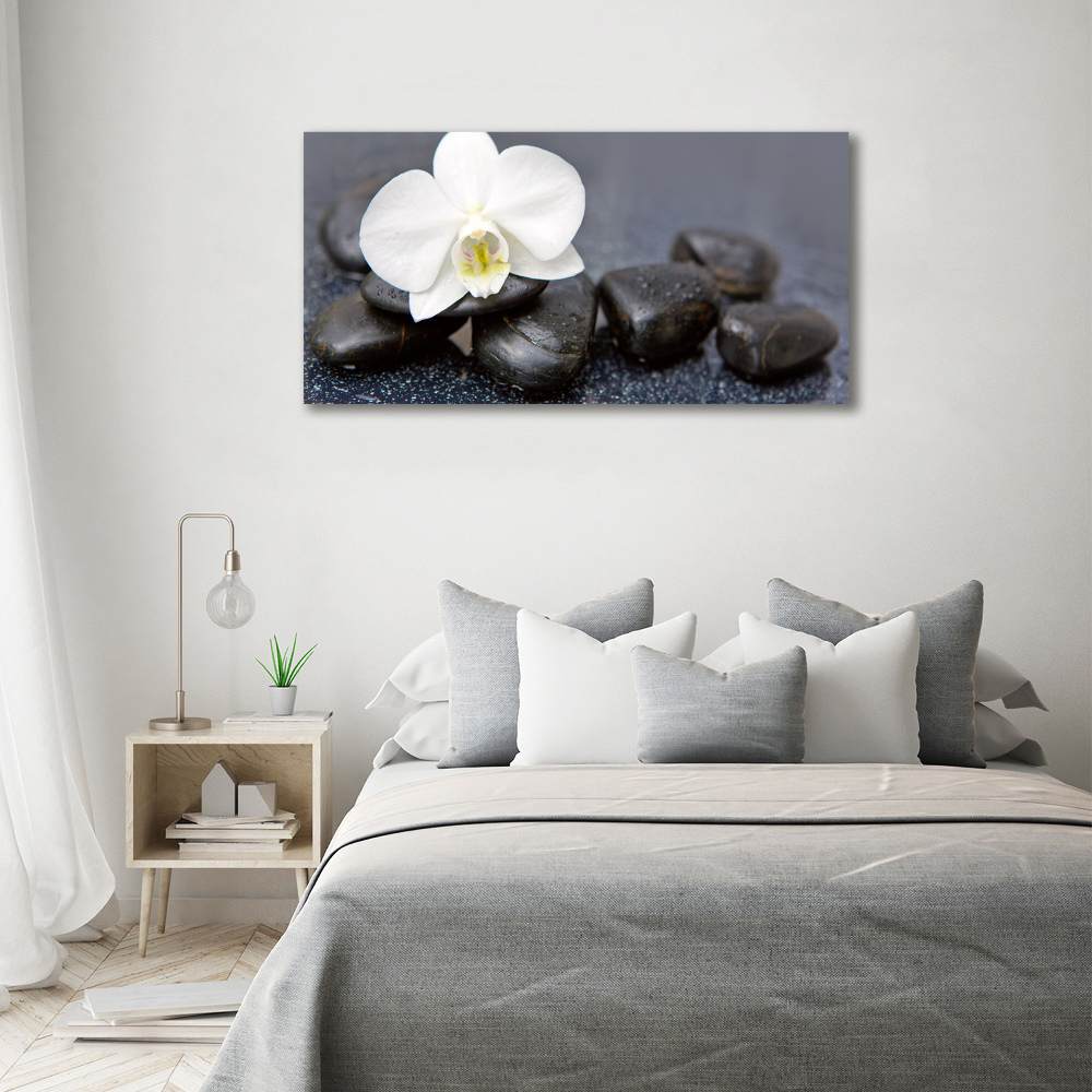 Foto obraz canvas Orchidea