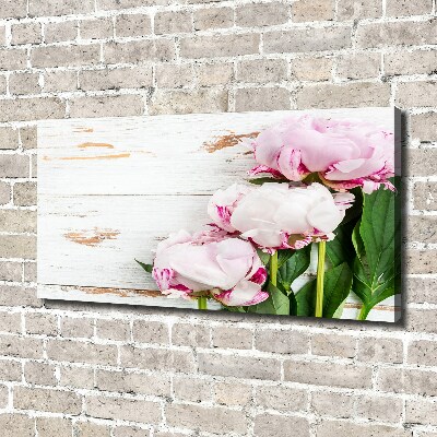 Foto obraz canvas Piwonie