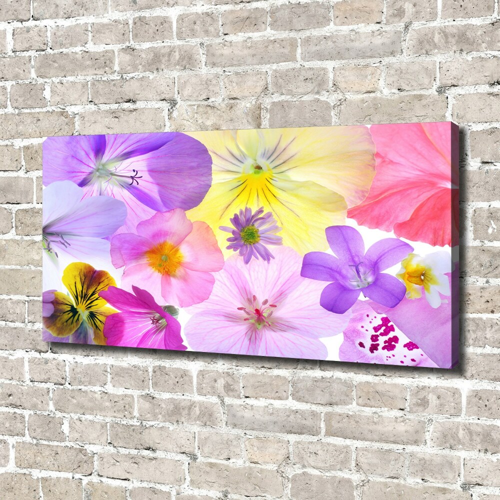Duży foto obraz na ścianę canvas Bratki