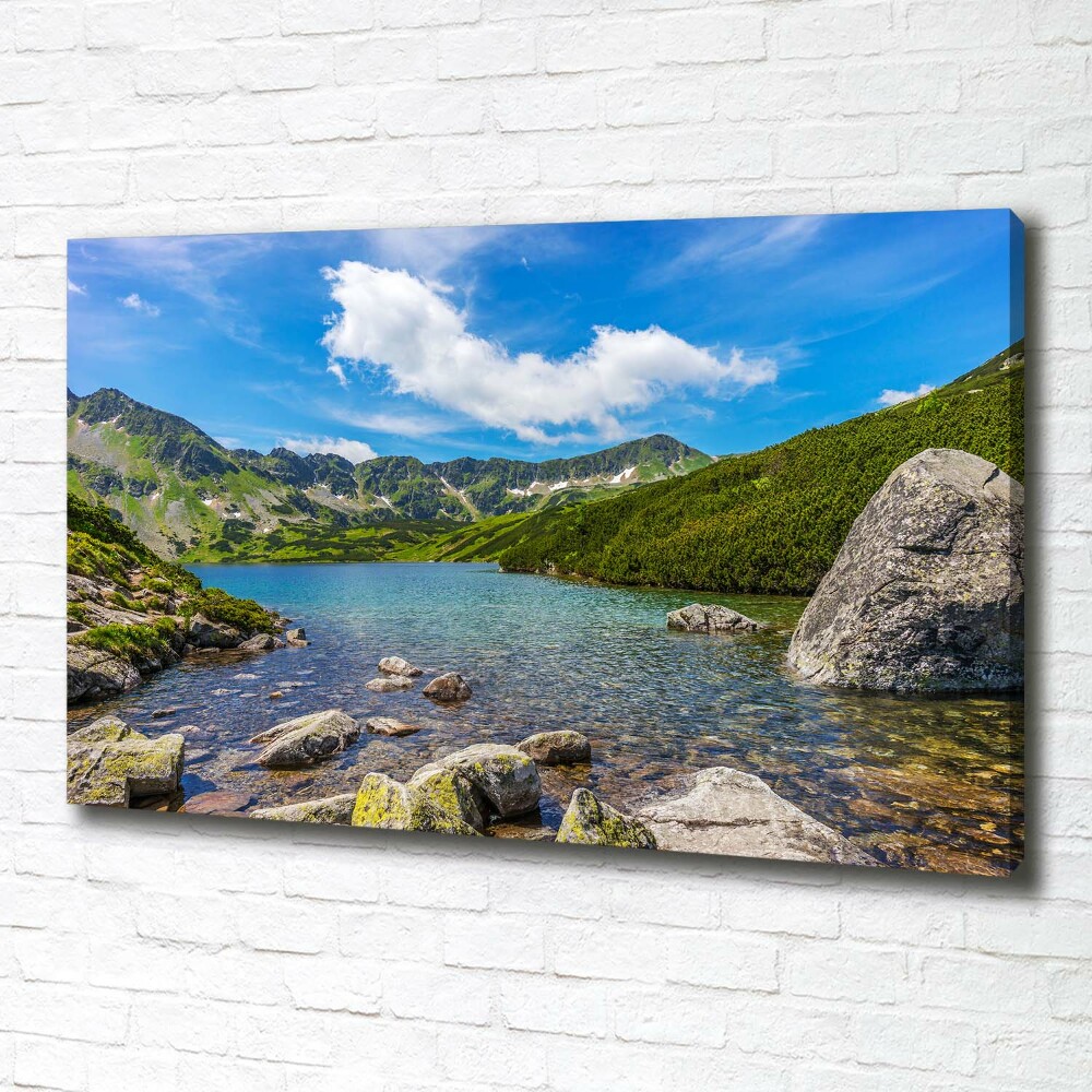 Duży Foto obraz na płótnie Dolina Tatry