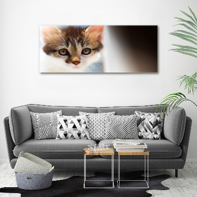 Foto obraz canvas Mały kot