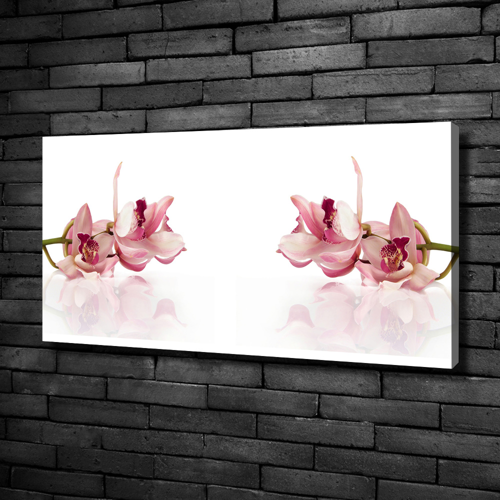 Foto obraz canvas Orchidea