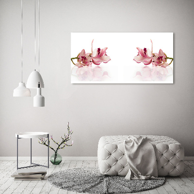 Foto obraz canvas Orchidea