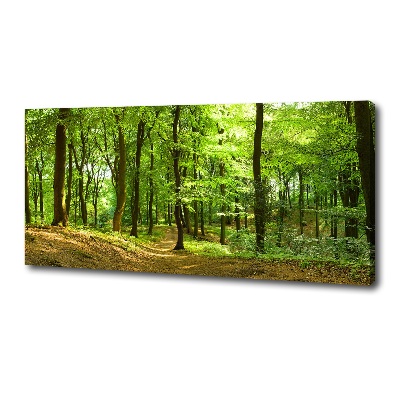 Foto obraz na płótnie Leśna ścieżka