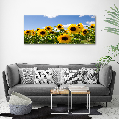 Foto obraz canvas Słoneczniki