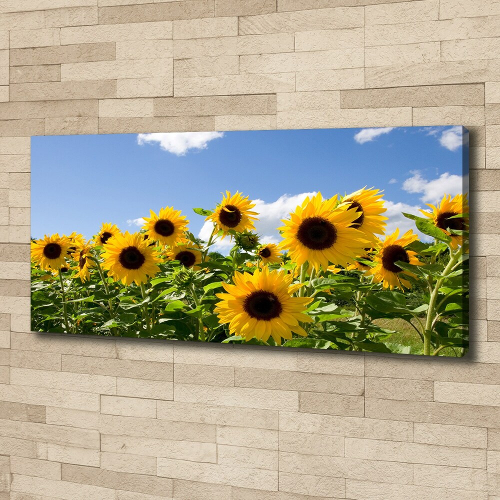 Foto obraz canvas Słoneczniki