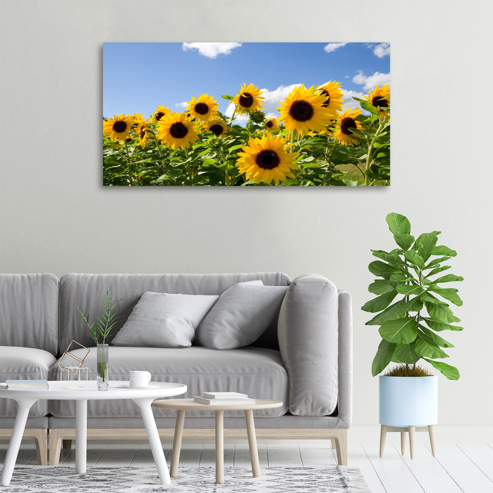 Foto obraz canvas Słoneczniki