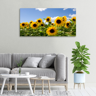 Foto obraz canvas Słoneczniki