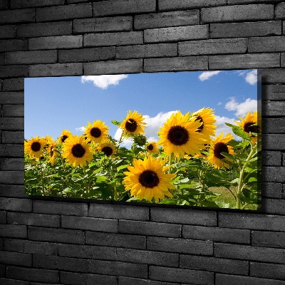 Foto obraz canvas Słoneczniki