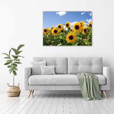 Foto obraz canvas Słoneczniki