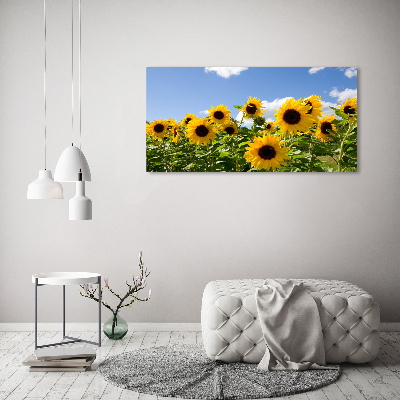 Foto obraz canvas Słoneczniki