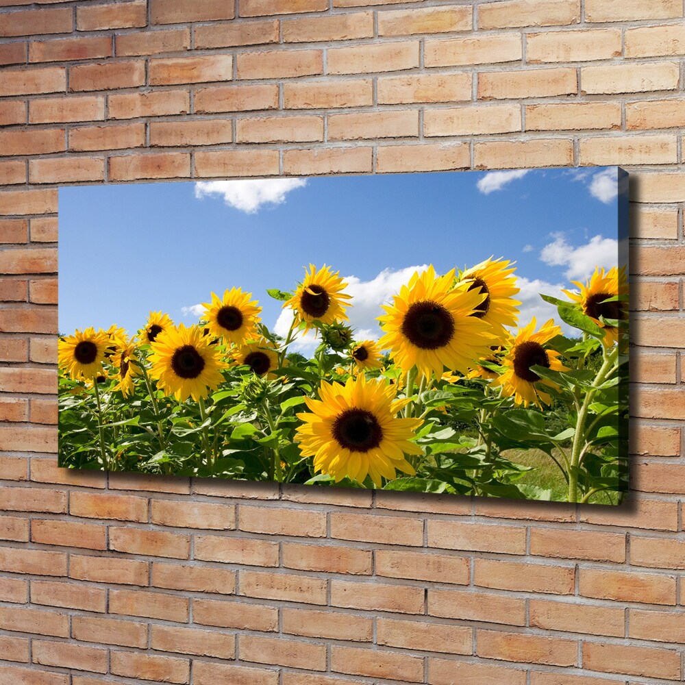 Foto obraz canvas Słoneczniki