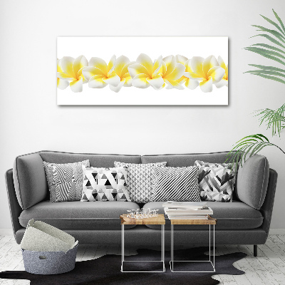 Foto obraz canvas Plumeria