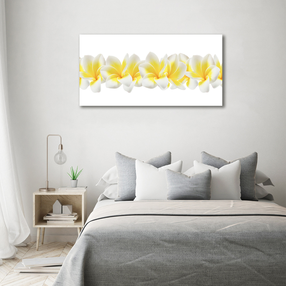 Foto obraz canvas Plumeria