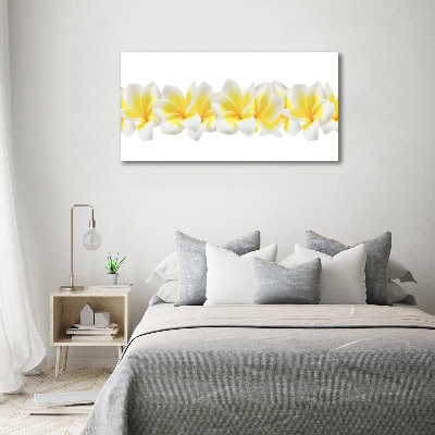 Foto obraz canvas Plumeria