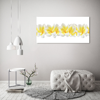 Foto obraz canvas Plumeria