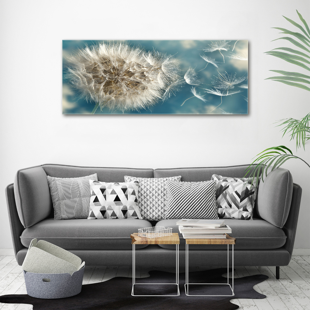 Foto obraz canvas Dmuchawce