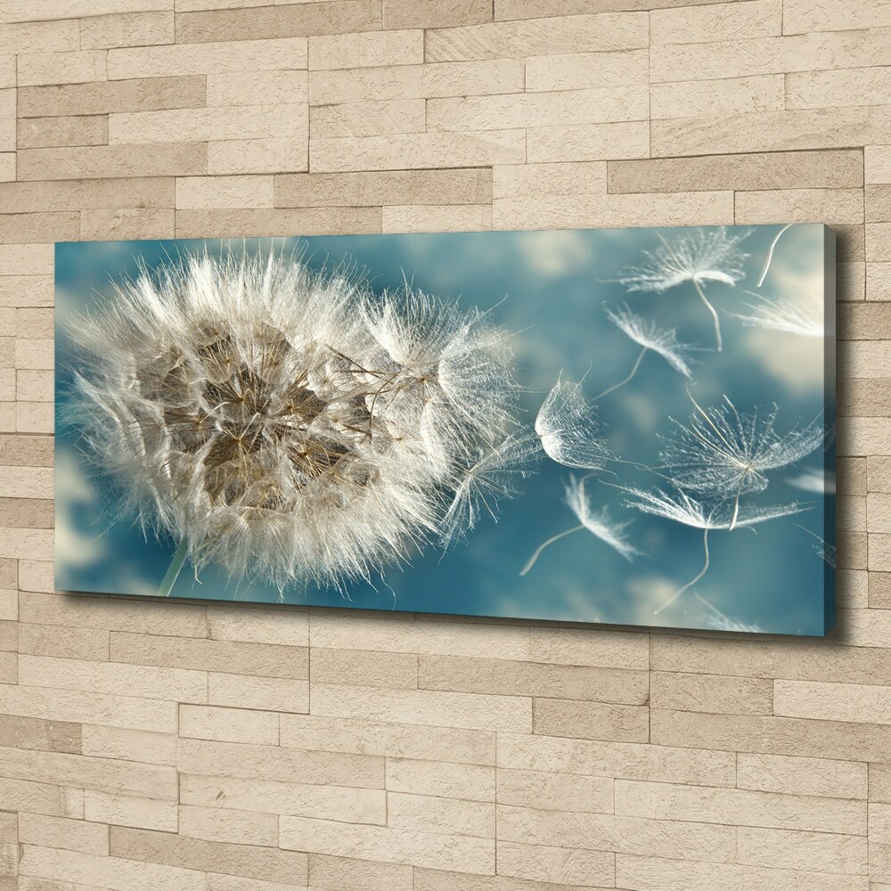 Foto obraz canvas Dmuchawce